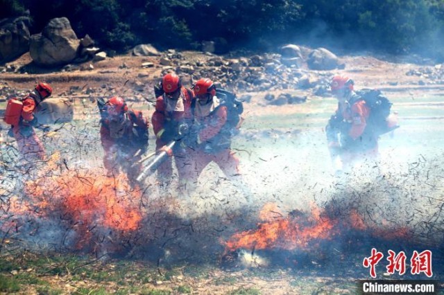 班组灭火行动比武，消防员正在扑打地表火。　福建森林消防供图