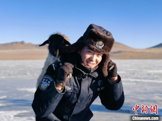 新春走基层西藏移民管理警察护航羊群转场